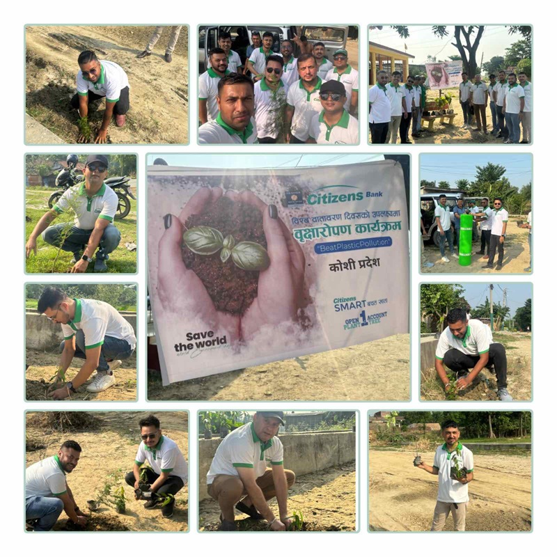 Citizens Bank Tree Plantations