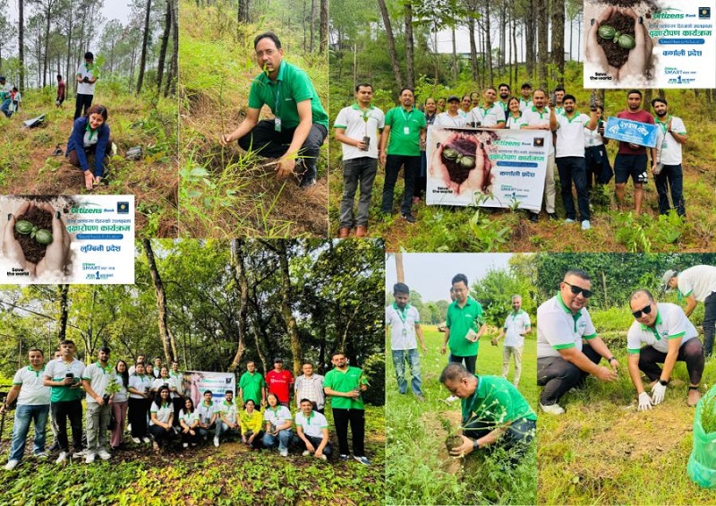 Citizens Bank tree plantations