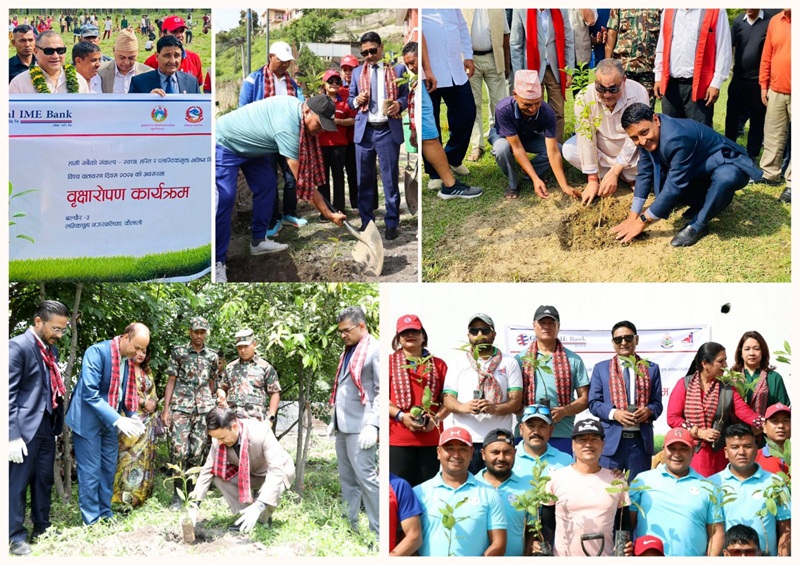 Global IME Bank tree plantation