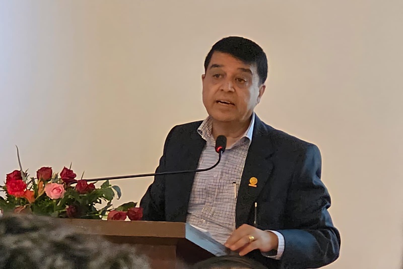 Government Consular Economic Diplomacy Collaboration
