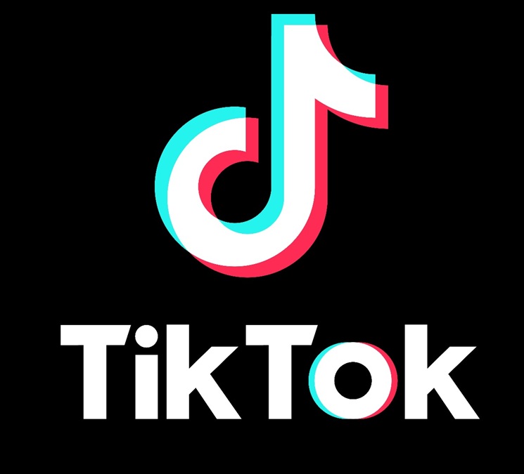 TikTok releases Q1 2025