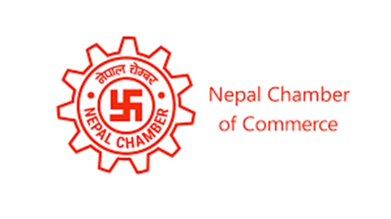 NCC Rejects Share Demat Policies