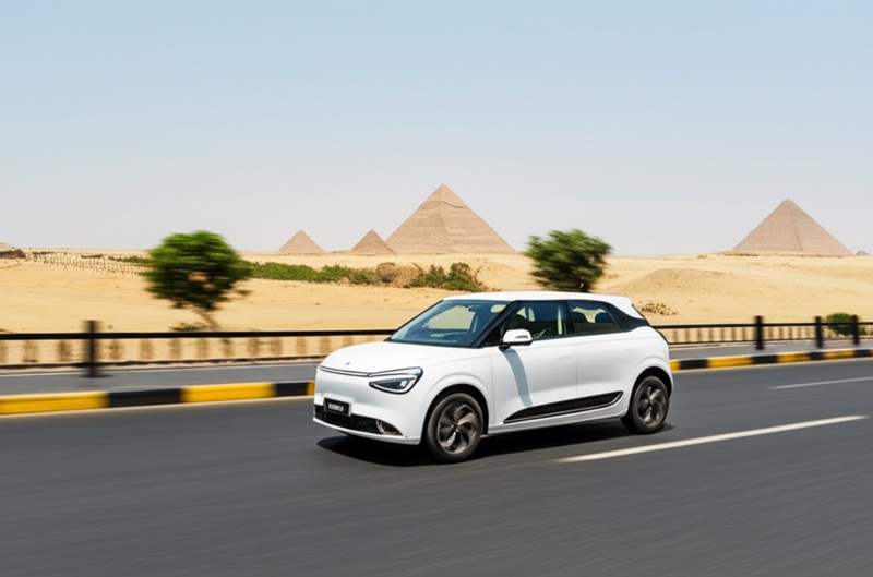 Dongfeng Motor New Models Egypt
