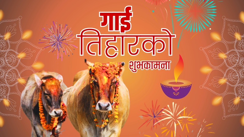 Cow Tail Ritual Gai Puja 
