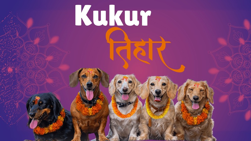 Kukur Tihar 2025