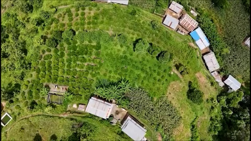 Lemon Farming Popularity Ramechhap