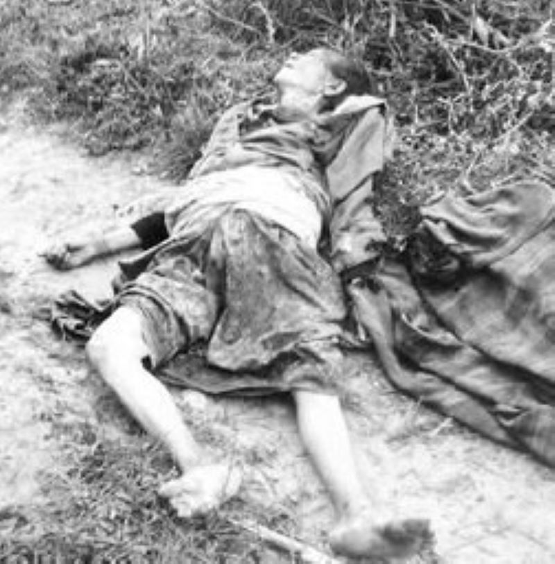 Wild Attack Kills Woman