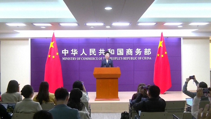 China TikTok Dispute Solution