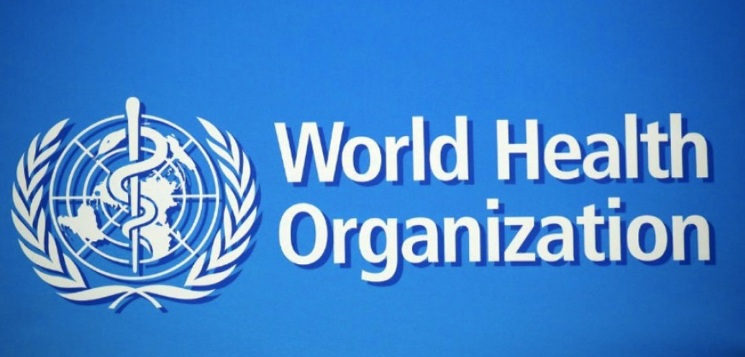 Global Traditional Medicine Summit