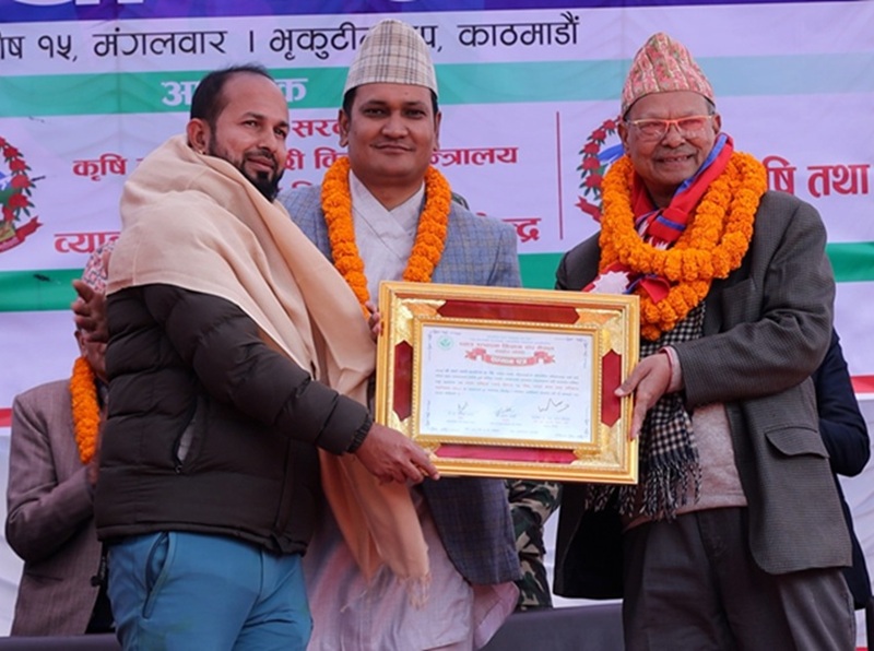 Mushroom Farming Kathmandu