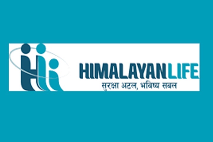Himalayan Life Insurance Chairman