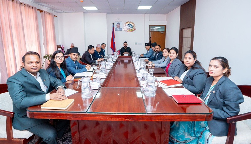 NPC Vice Chairman Appointment