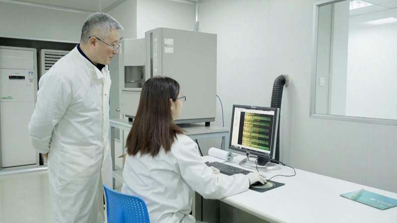 Perennial Rice Longevity Gene