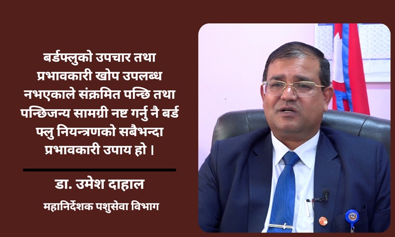 संक्रमित पन्छि नष्ट गर्नु नै बर्डफ्लु नियन्त्रणको प्रभावकारी उपाय : डा. उमेश दाहाल